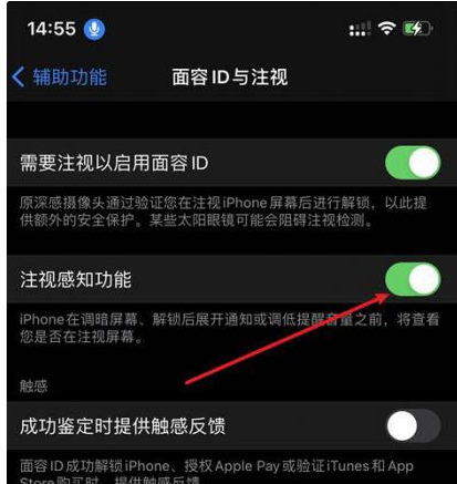 望城苹果14维修网点分享iPhone14注视感知功能有什么用 